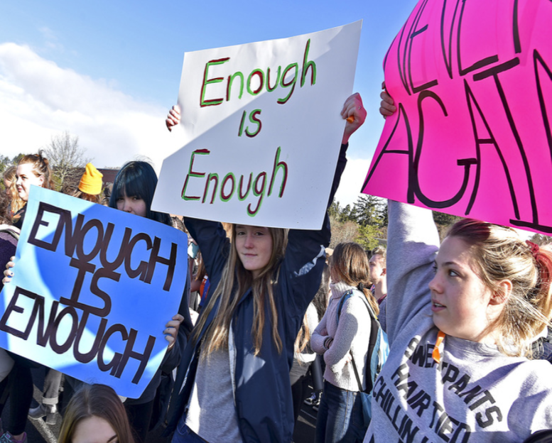 Students walk out protesting stricter gun laws
