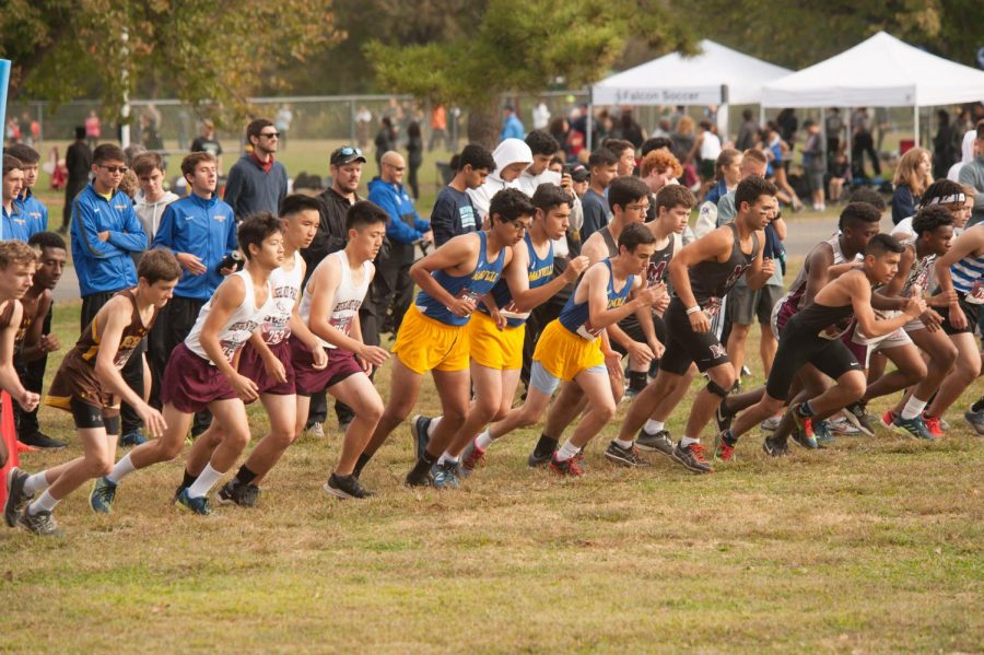 Cross Country Runners Defeat their Personal Records!