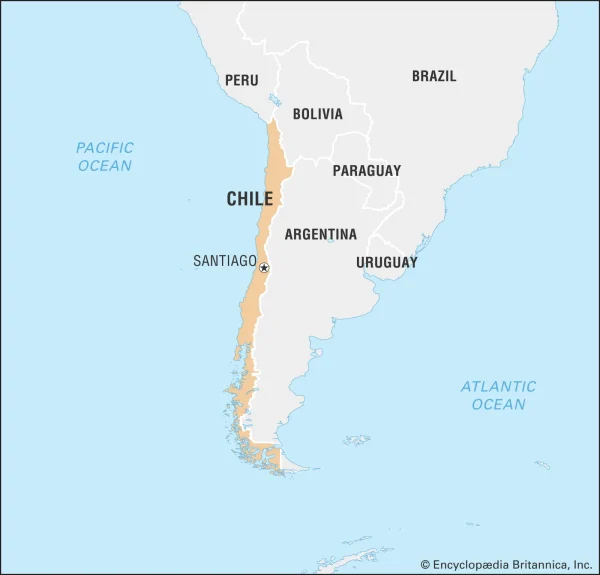 The 2024 Chile Wildfires