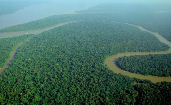 Amazon Rainforest Could be in Danger
