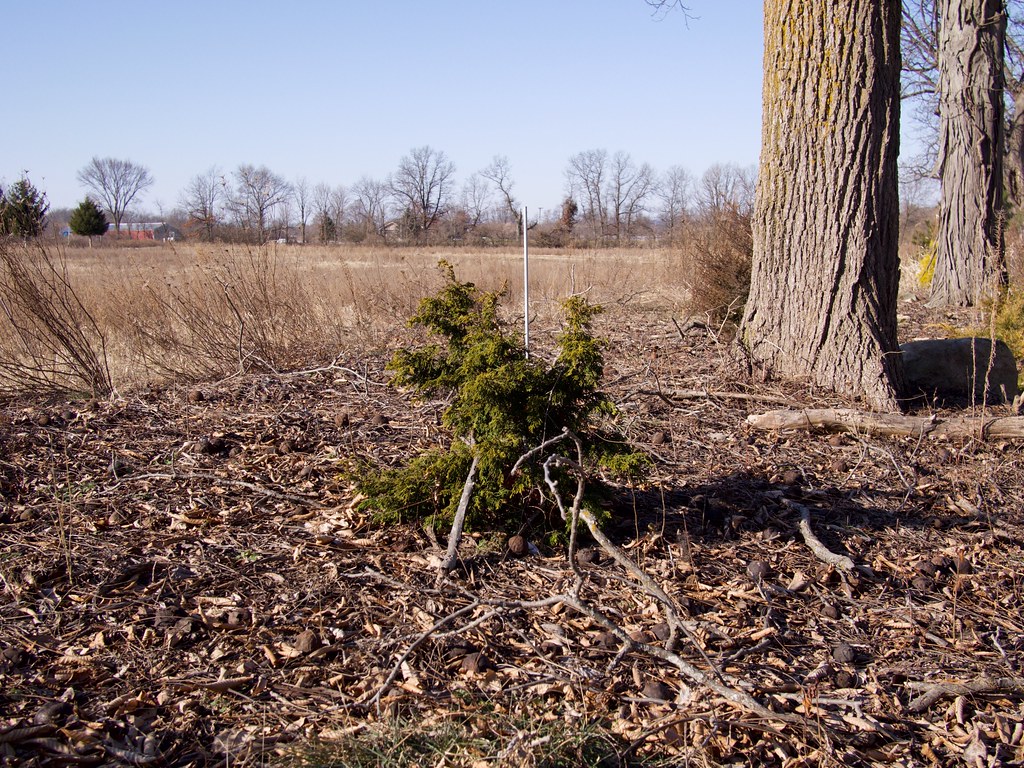 New Jersey November Drought