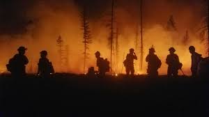 Jennings Creek Wildfire in New Jersey