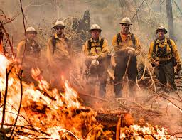 New Jersey “Jones Road Wildfire” Spreads, Moving Towards West into Pine Barrens