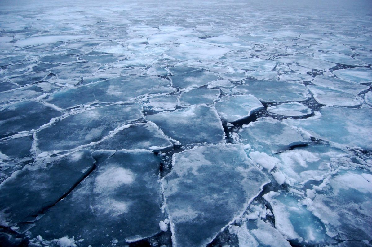 The Devastating Death: 3 Young Boys Drowned in Deep Freezing Water
