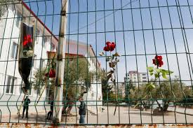 Mass Shooting in Turkey- 4/17